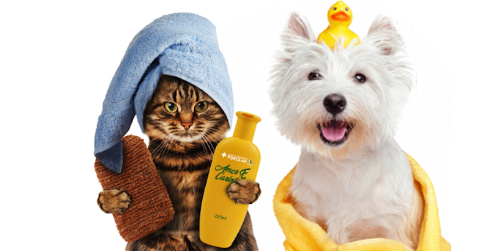 Pet Shop Recorrente: Da Primeira Assinatura à Fidelização Mensal – 96h
