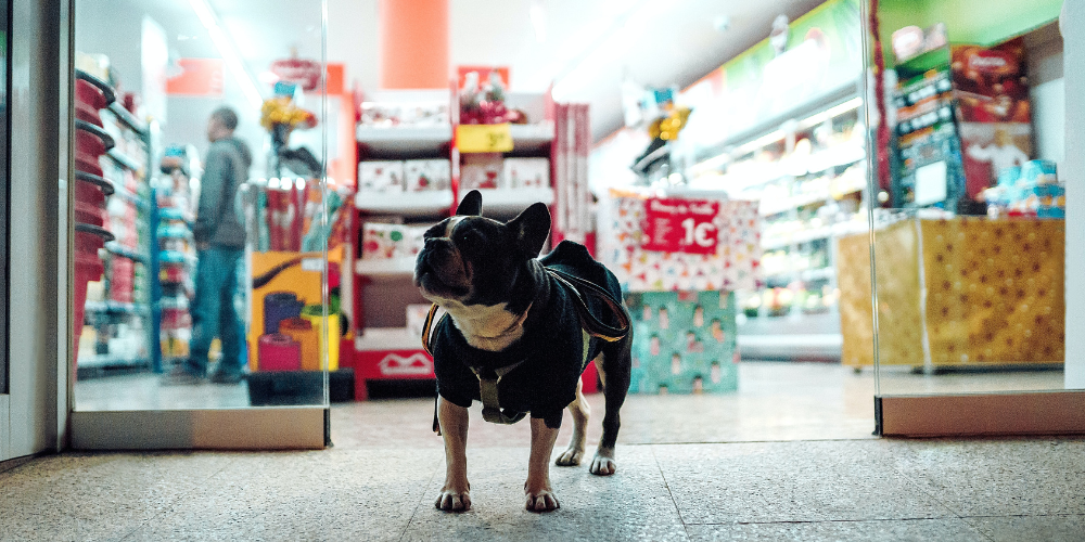 Pet Shop de Resultados: Balcão, Caixa e Fidelização – 96h