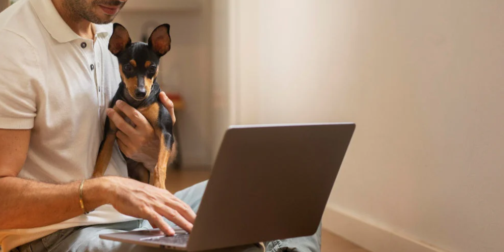 Assinaturas Sustentáveis: Tendências Delivery Pet -96h