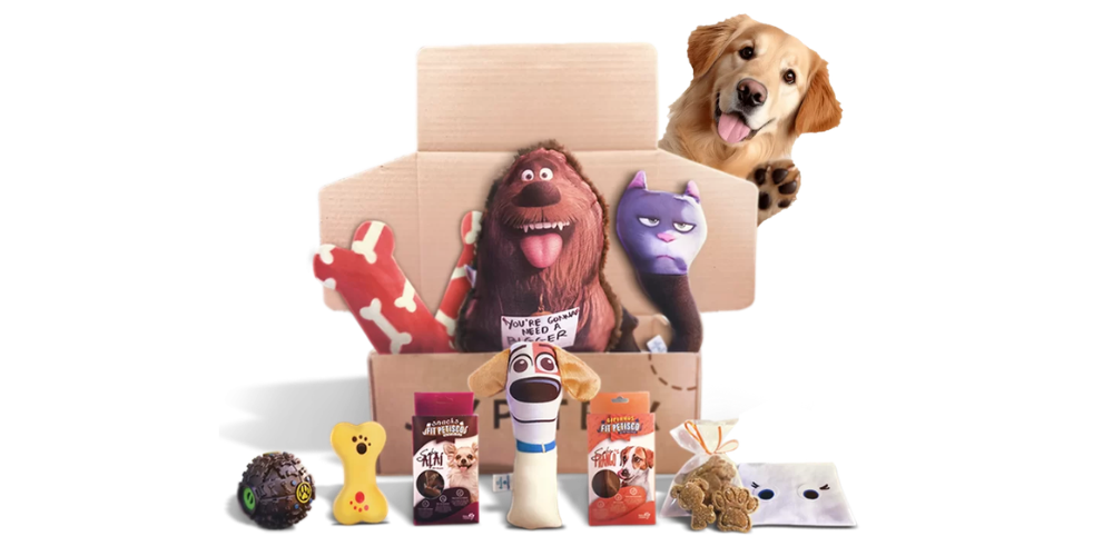 Atendimento Humanizado em Assinaturas Pet Delivery – 96h