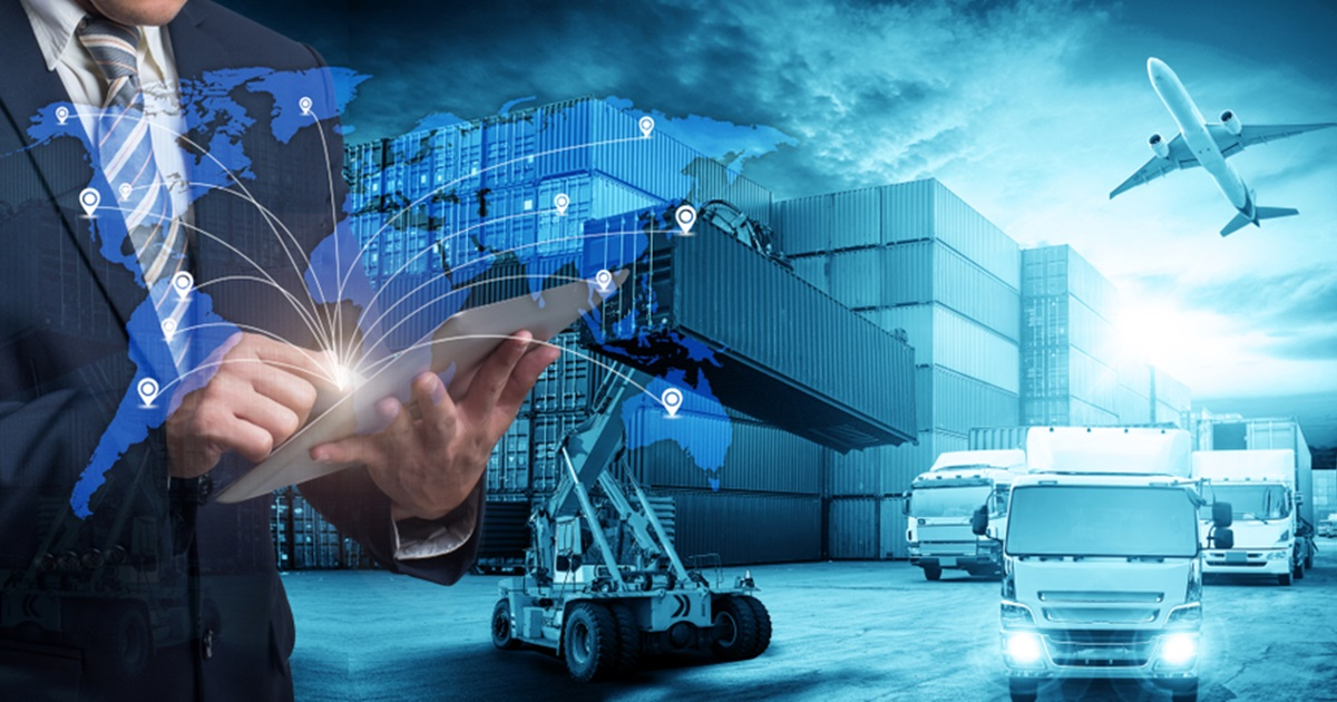 COMBO COM 14 CURSOS LOGISTIC SCHOOL
